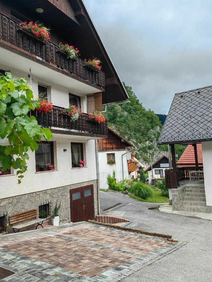 Apartma Bela بوهينيسكا بيلا المظهر الخارجي الصورة